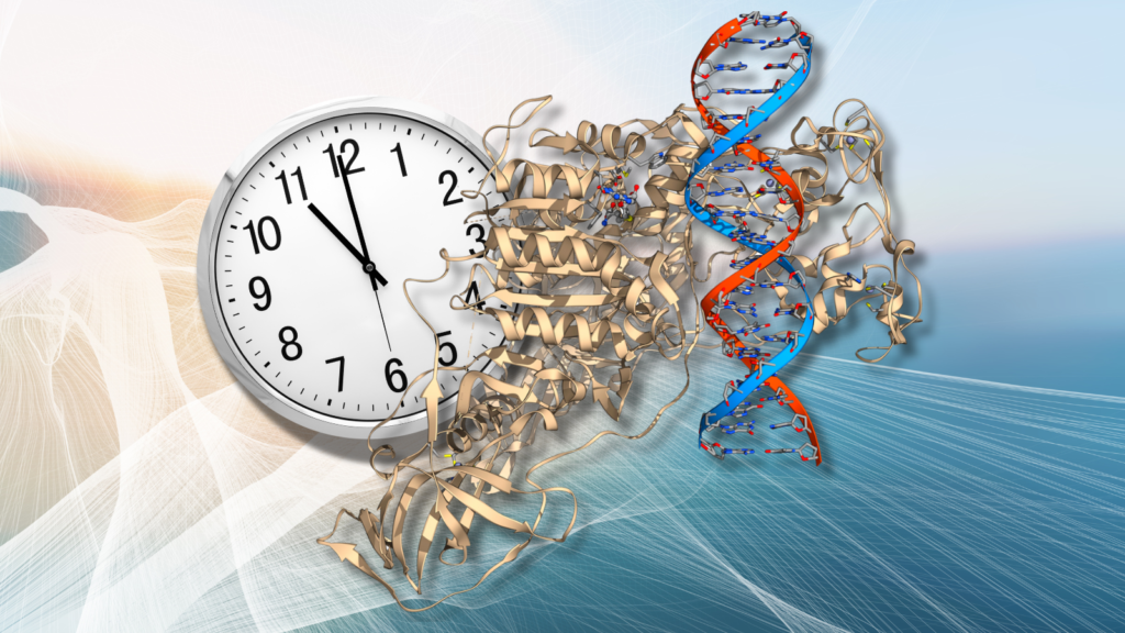 Advanced Epigenetic Clocks