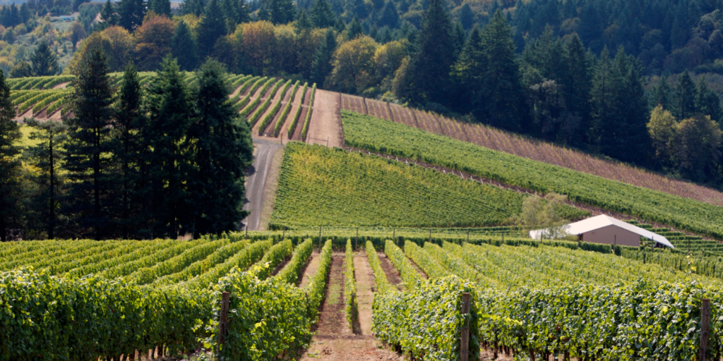 wine country excursions for empty nesters